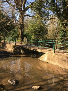 Canley Ford 2